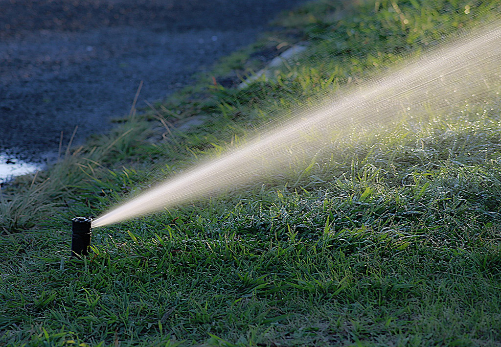 Understanding the Current Level 2 Drought Watering Restrictions